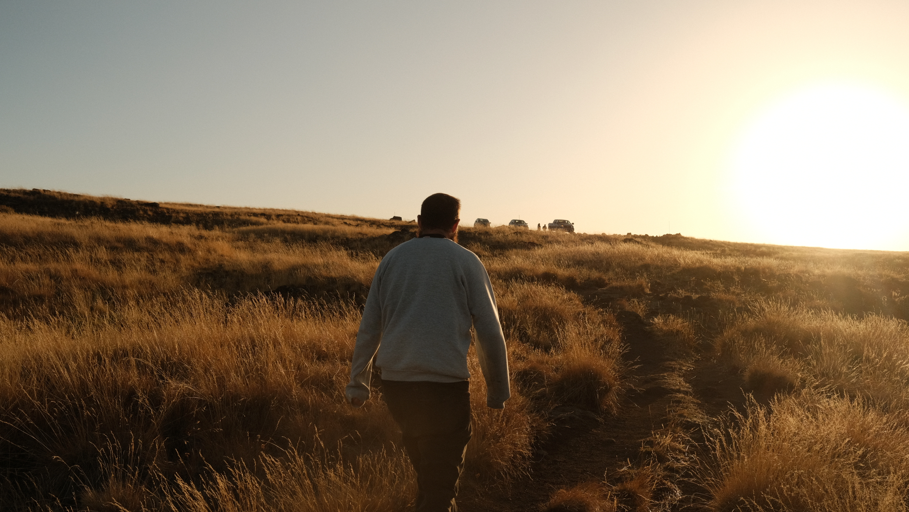 A figure walks into the setting sun, amnongst a sea of golden grasses. He wears a grey sweatshirt, and has close cropped hair. Distant, on the horizon trucks wait, their owners standing between them, inscrutable. 